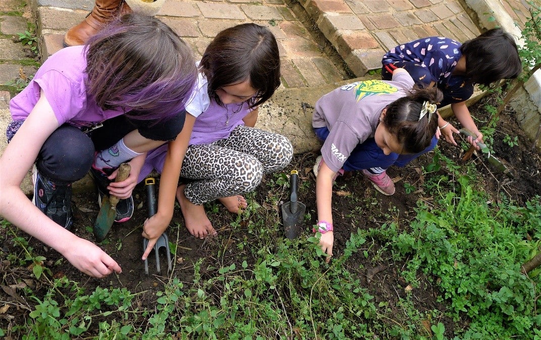 gardening