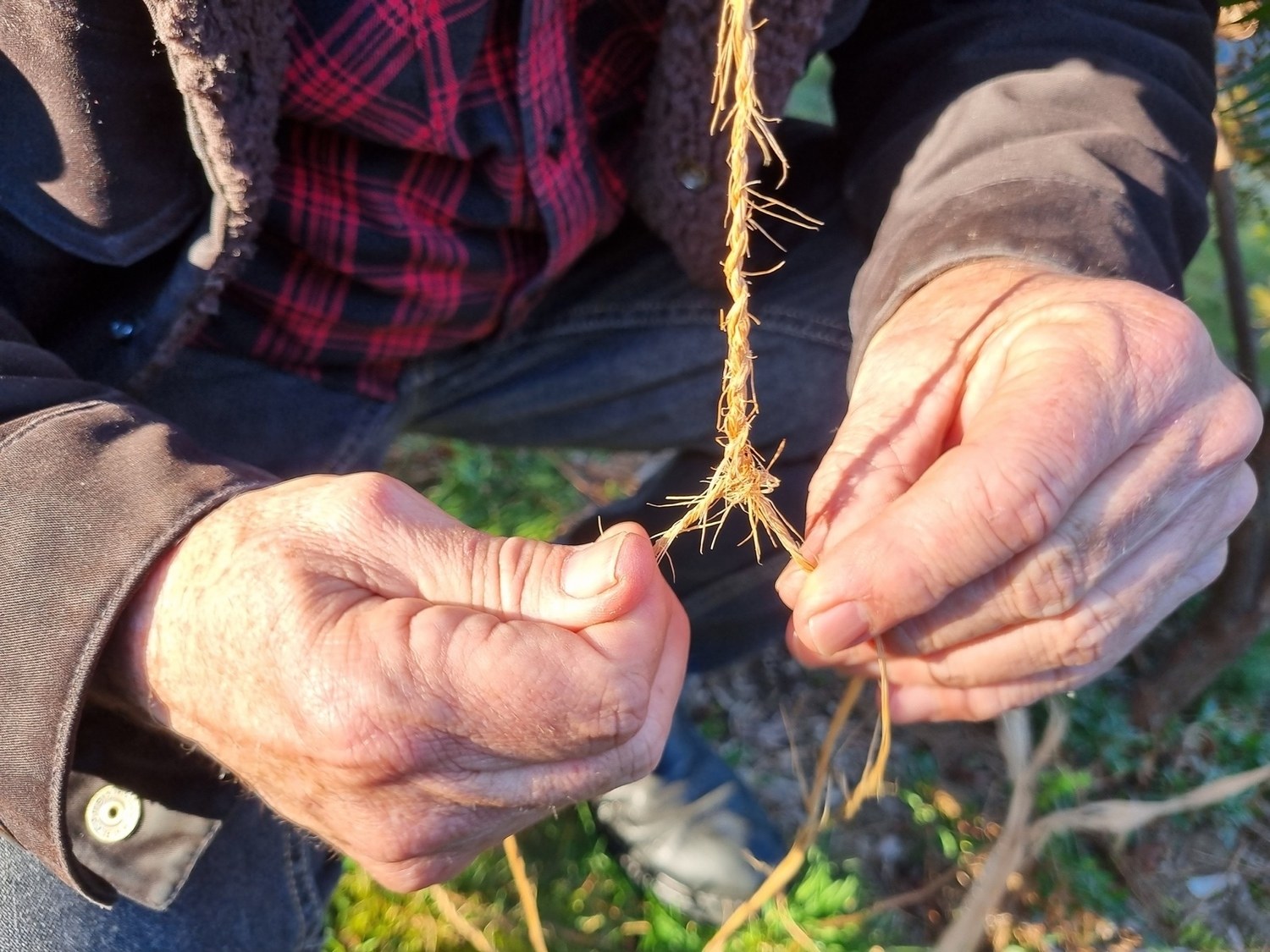 Weaving stringybark