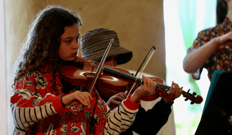 Violin