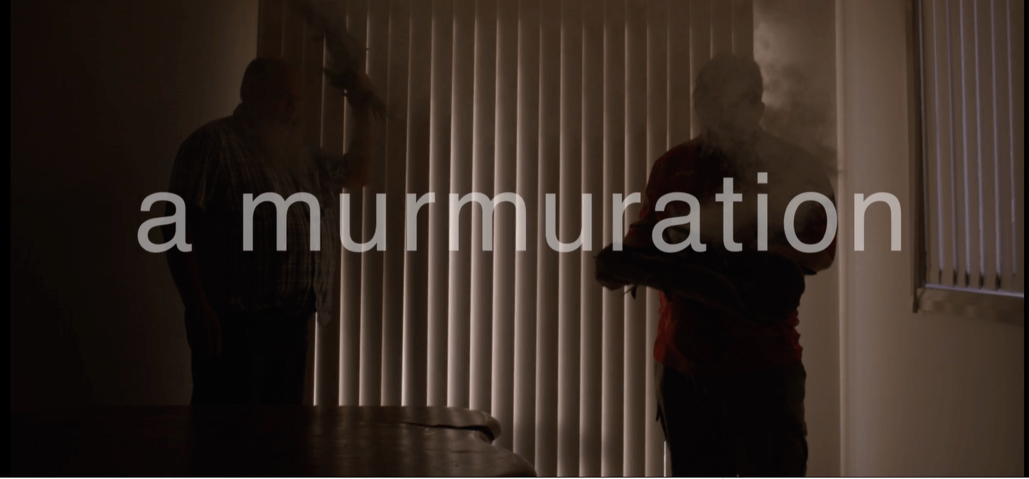a murmuration
