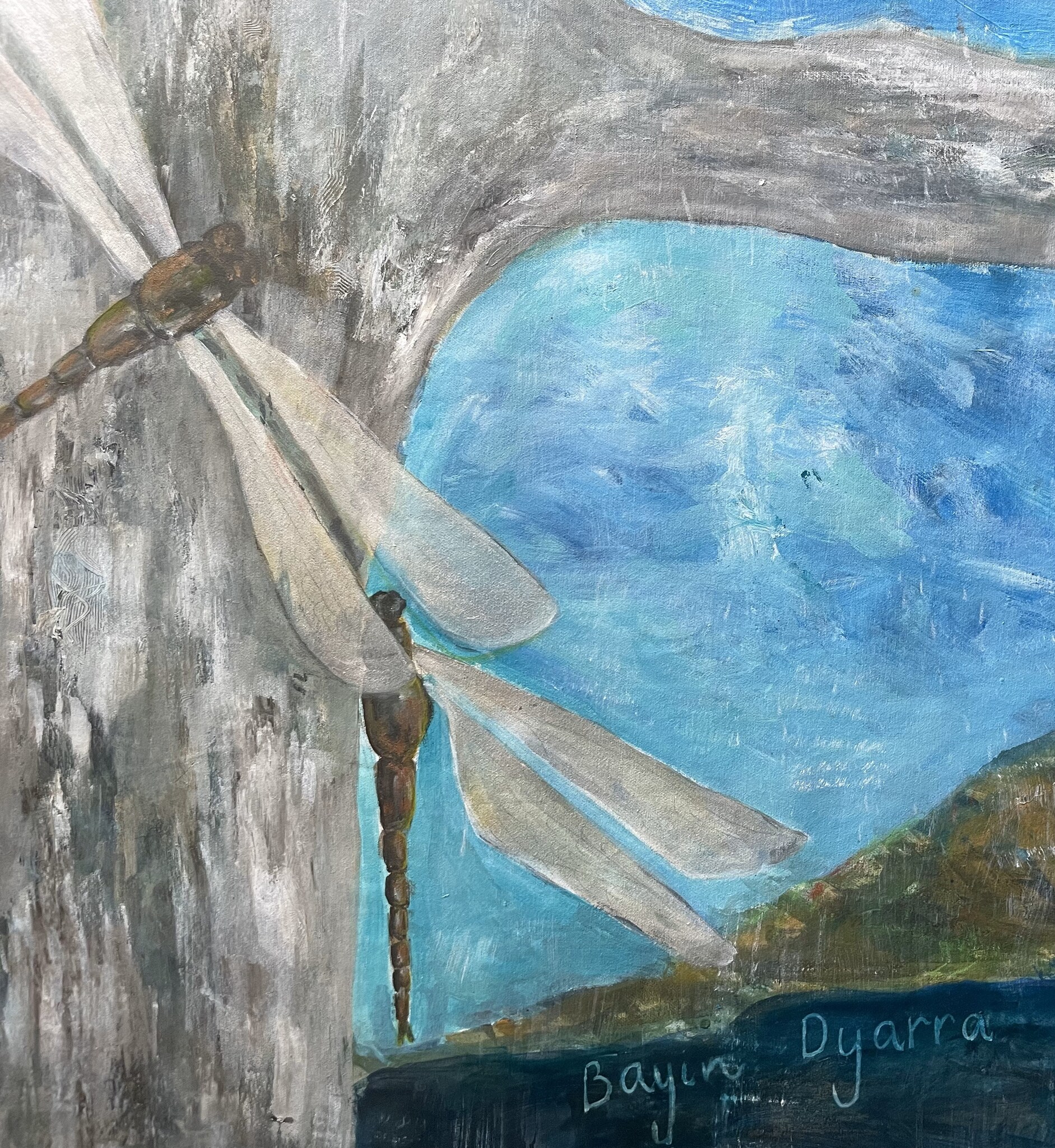 Dragonfly photo